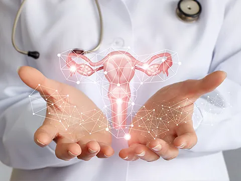 Female reproductive Medicine
